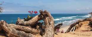 Ponto beach-9353.jpg Ponto beach-9353.jpg